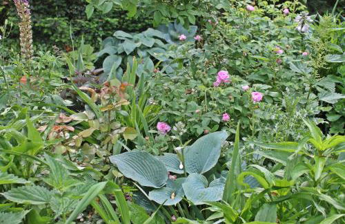 Maison Mille Fleurs - Foto 36