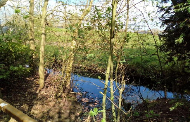 Farmhouse in Friesland Near Frisian Waters - Foto 42