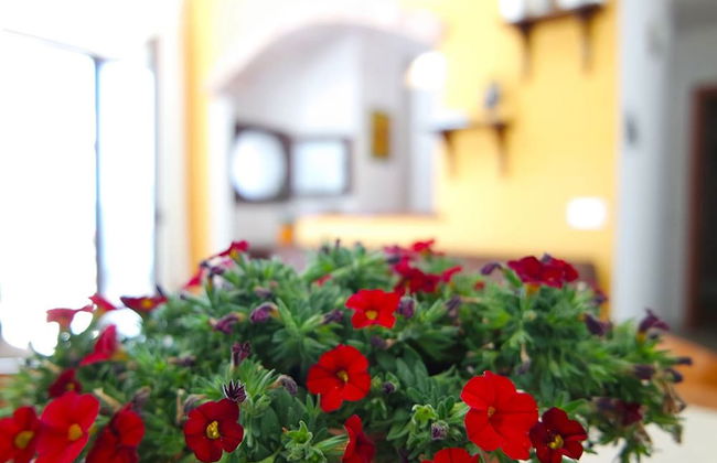 Bella Mbriana Apartments - Foto 27