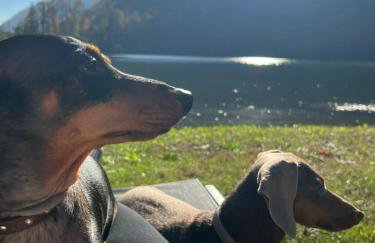 Eden Lake "L'Angolino di GIULIO" - Foto 37