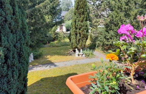 Pferd - Spaß - Entspannung - Foto 31