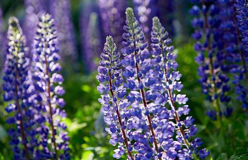 Cozy Schroeder Studio with Deck on Lake Superior - Foto 33