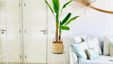 Mamma Mia CITY CENTER - Foto 5