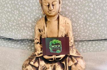 MXP Relax House - Photo 11