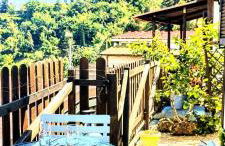 Bungalow Sixdays 3 - Photo 26