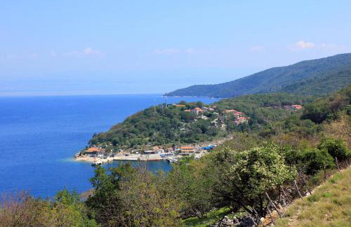 Apartments with a parking space Porozina, Cres - 14980 - Foto 11