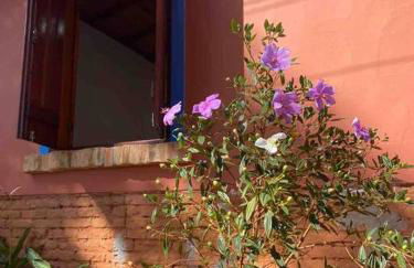 #casinhadasbananeiras - Foto 41