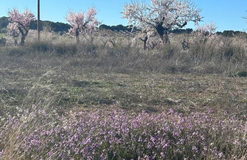 Casa Miranda - Foto 6