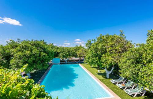 Huerta la Pimentada - Foto 72