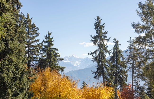 Vermala Soleil B1 - Foto 5