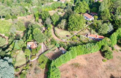 Quinta Das Faias - Foto 17