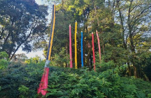 Estudio Camelia - Foto 31