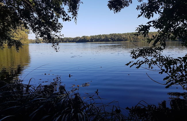 Ferienhof Mochowsee - Photo 42