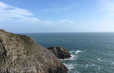 Passion Flower Cottage - Photo 10