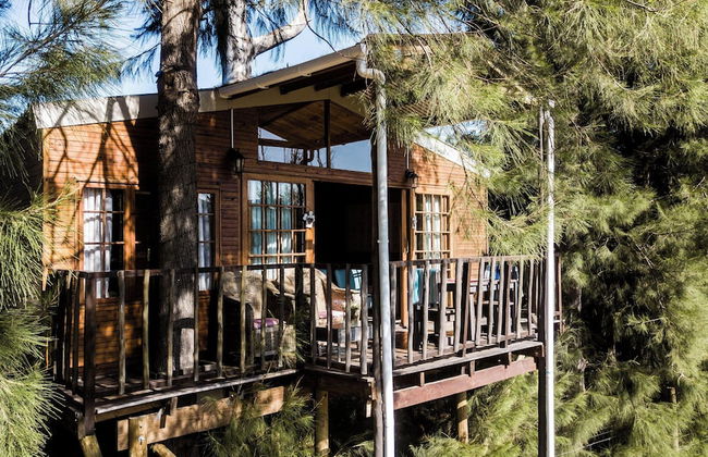 Vindoux Guest Farm and Day Spa - Photo 46