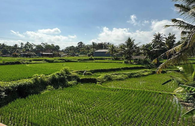 Casa De Arya - Foto 25