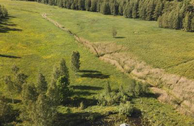 Chatka w lesie - Foto 43