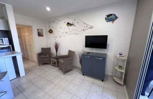 Studio climatisé 30m² avec piscine à 50m de la plage - FR-1-731-107 - Foto 3