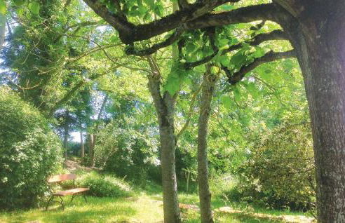 Le Moulin De Saint-Georges - Foto 10