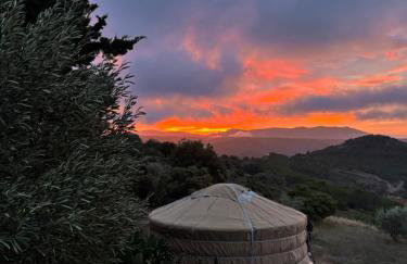 Yourte Mongole Insolite - Gîte Saint Roch - Foto 27