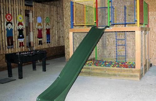 Gänseblümchen - Foto 14