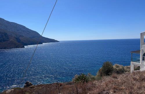 Three Olive Homes - Foto 44