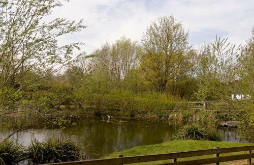 Miller Cottage a luxury 1550's cottage in the Historic centre of Saffron Walden - Foto 26