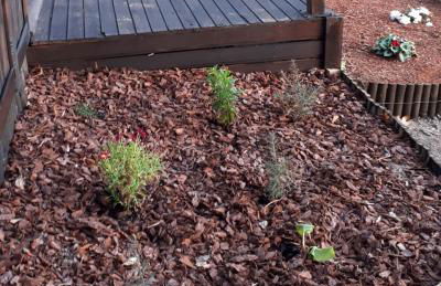 Casinha do Cedro - Foto 66