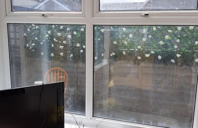 Not Available to Rent - Foto 10