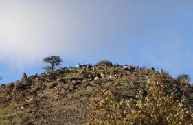 The Strawhouse under the mountain - Foto 53