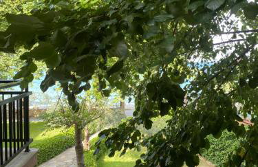 Paparizou Apartments - Foto 25