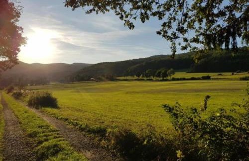 Ferienhaus in Medebach nahe Skigebiet - Foto 35