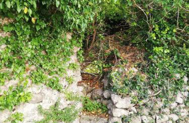 Apartment Kalikut - Foto 7