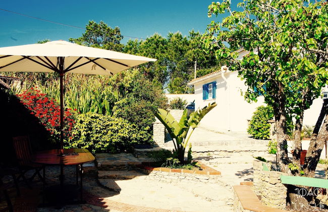 João Jungle - Foto 2