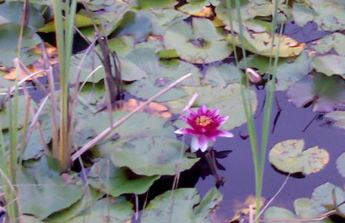 Agriturismo Prato degli Angeli - Foto 80