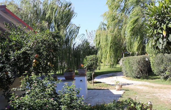 AGRITURISMO LE TAGLIATE - Photo 73