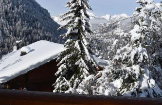 Chalet le Petit Ramoneur - Foto 58