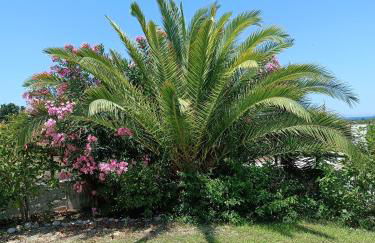 Alonia Summerhouse in Fanes - Foto 25