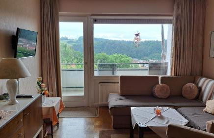 Harzer Ferienwohnung mit Pool und Sauna - Foto 6