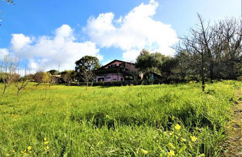 La Tinaia Country House - Foto 31