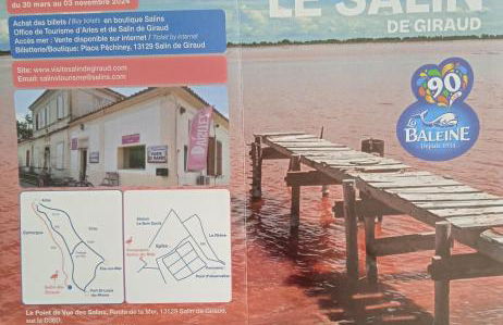 Les Oliviers de Camargue - Foto 28