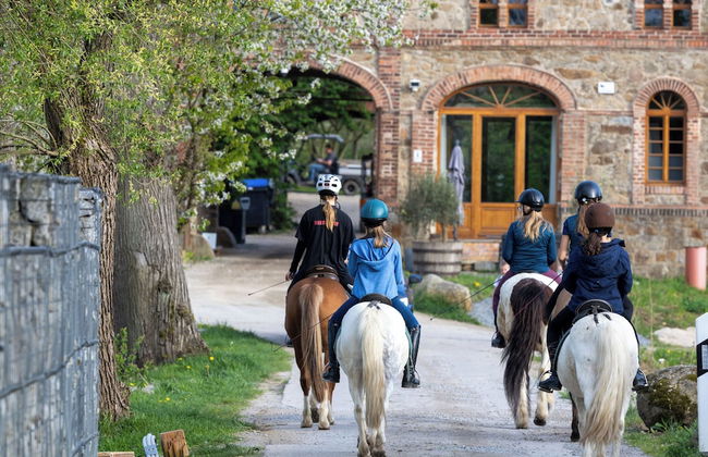 HexenburgbeiDresden Stylishes Designerappartement mit Schlafsofa, Terrasse - Nähe Sächsische Schweiz - Foto 12
