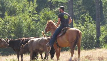 Ranch du Haut-Languedoc - Foto 4