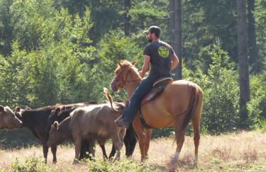 Ranch du Haut-Languedoc - Foto 4