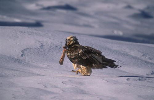 Casa Julio - Photo 49