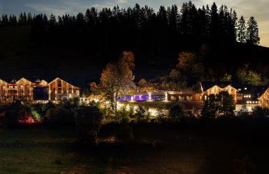 Black Forest Lodge - Photo 10