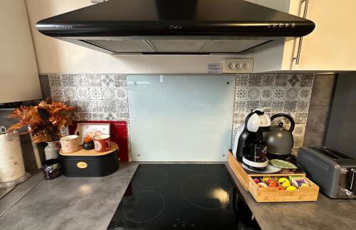 Le cocon de Marckolsheim proche Europapark - Foto 13