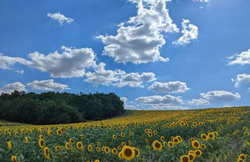 Maison boutet 9 - Foto 26