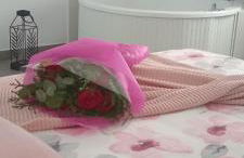 El susurro del tajo. El rio - Foto 14