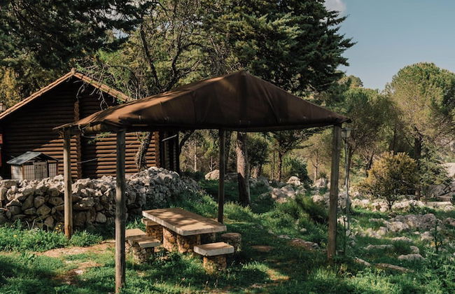 Camping Tajo Rodillo - Foto 42